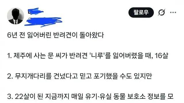6년전 잃어버린 강아지가 돌아왔다,,