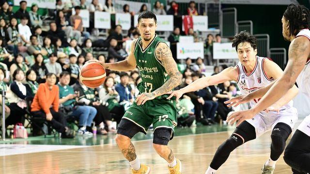 알바노 12어시스트 활약… 프로농구 DB, 정관장 꺾고 7연승 질주