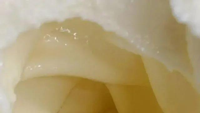 소프트 아이스크림 콘의 내부