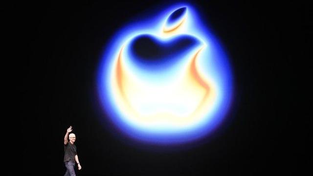 애플의 팀 쿡 CEO