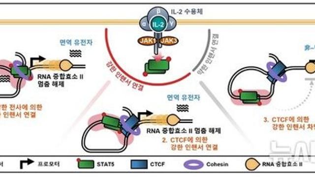 사람마다 약물 반응 다른 이유 찾았다…'이것' 원리 규명