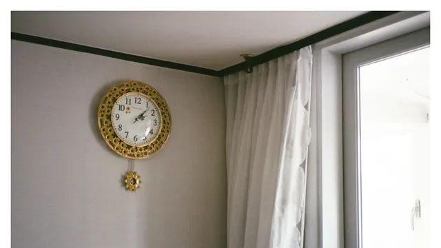 일상을 담은 한 롤.