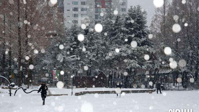 <오늘의 날씨> 낮부터 한파 ‘숨 고르기’⋯경기·강원 대설특보