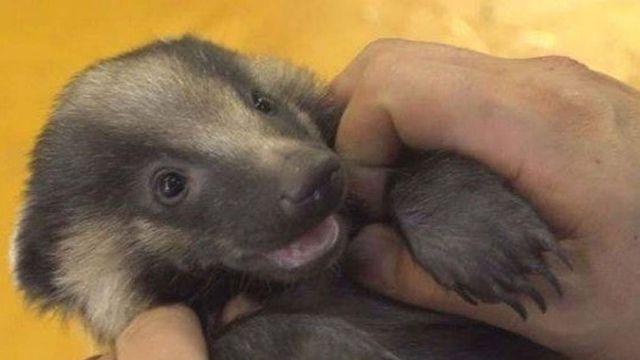 사람이 주인공도 아닌데 ‘시청률 6%’ 돌파…24년 동안 사랑받은 韓 예능