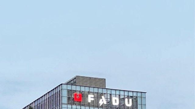 파두, 거래정지 속 ‘203억 최대 수주’…주주 보호의 역설