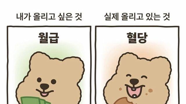 직장인들의 이상과 현실