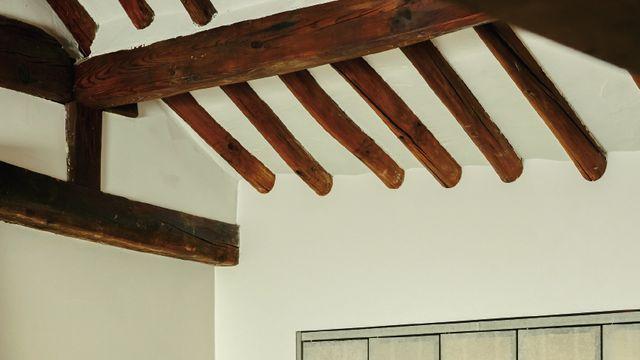 한국다움의 정의 #3 호랑