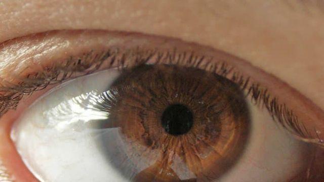 다음 중 하나를 포기하면 1조를 받습니다