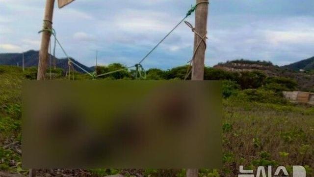 관광지 해변에 참수된 머리 5개…에콰도르 뒤흔든 '경고 살인'