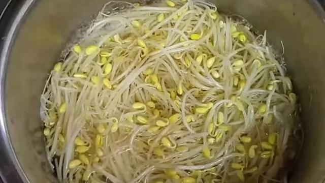 콩나물은 제발 그냥 무치지 말고 '이것' 부으세요…겨울 끝날 때까지 먹습니다