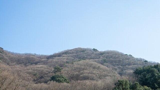 남양주의 겨울, 자연의 품에서 만나는 평온한 이야기