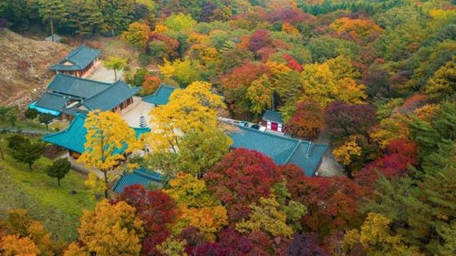 입장료 무료인데 안 가면 손해… CNN이 극찬한 '한국 사찰' 3곳
