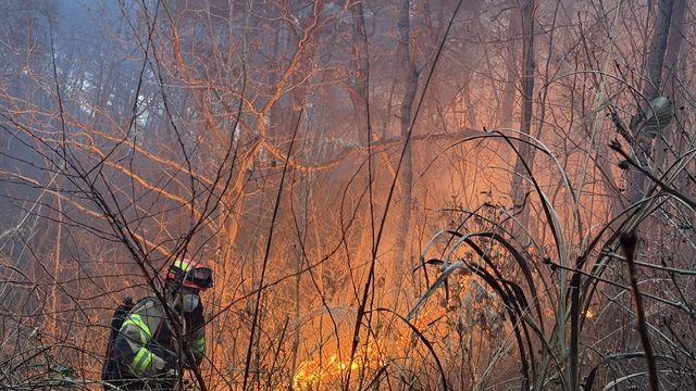 [속보] 경북 영천시 화산면 가상리 화재 발생... 백학산 산불 확산 '주의'