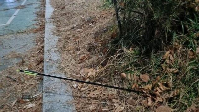 길 가던 여성 주변에 화살 쏜 20대 