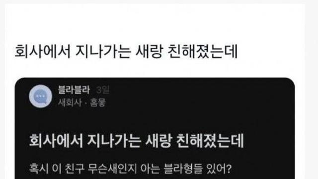 블라인드 새회사가 새회사인 이유