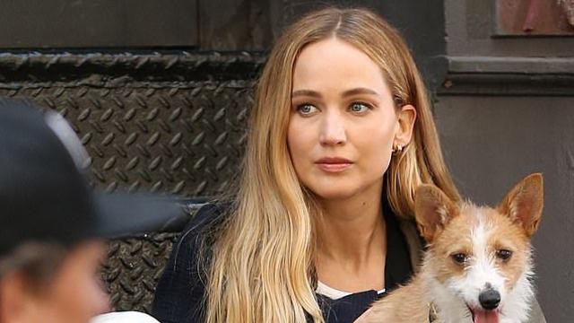 지금 미국 개빠들 극대노 사건