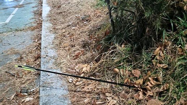 산책 여성에 화살 쏜 20대들 “사람 있는 줄 몰라”