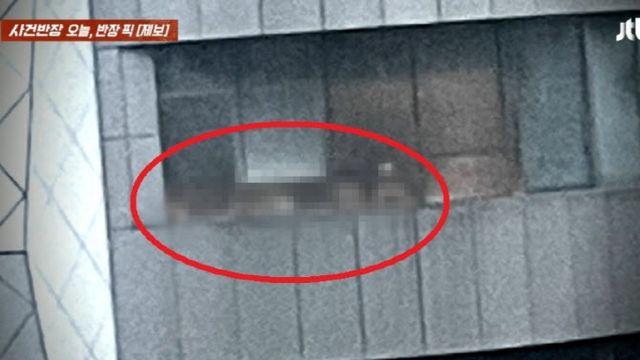 “알몸 다 보여 신고했는데…” 서초구 호텔 사우나서 무슨 일이