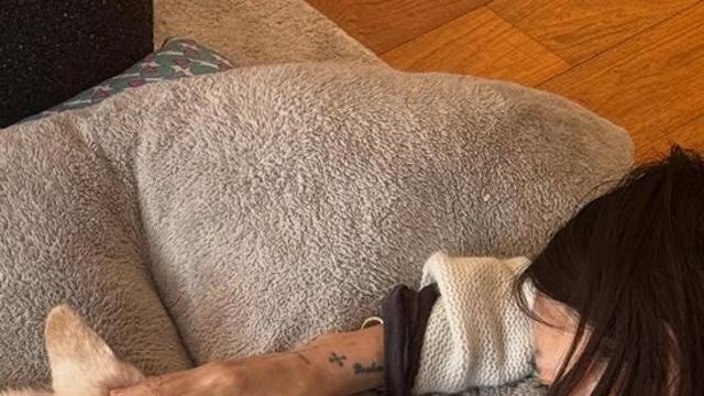 이효리♥이상순, 15년 함께 한 반려견 구아나와 이별