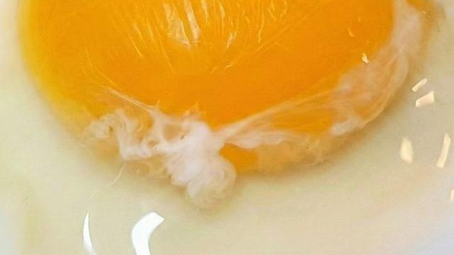 “먹어도 될까?” 계란 노른자에 붙어 있는 '하얀 실' 정체, 알고 보니…