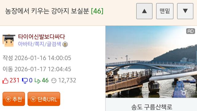 웃대인이 농장에서 키운다는 강아지