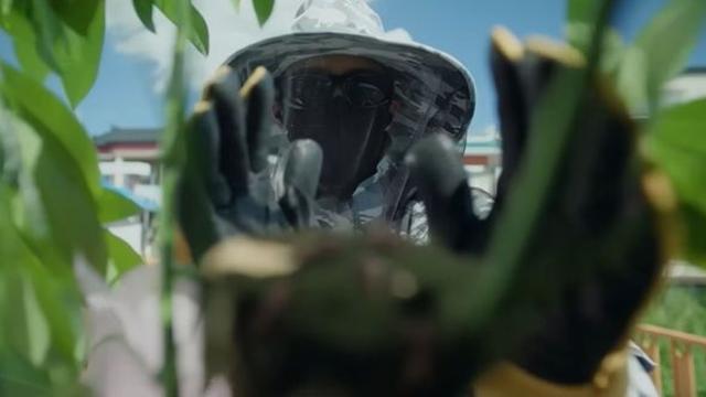 동시간대 1위 찍더니…조회수만 '1억 뷰' 넘은 미친 tvN 한국 드라마