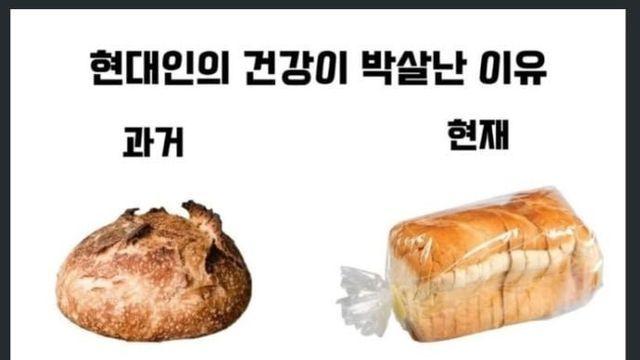 현대인 건강이 박살난 이유