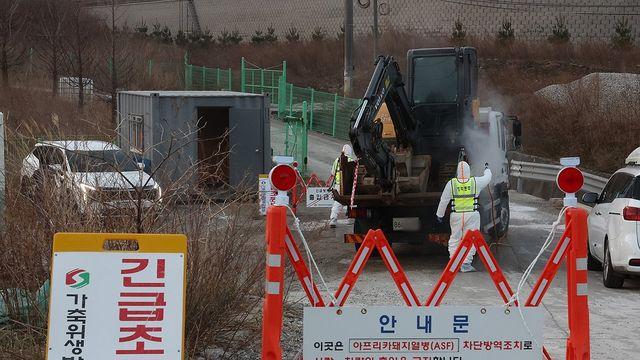 아프리카돼지열병·고병원성 AI 발생…중수본, 방역관리 강화