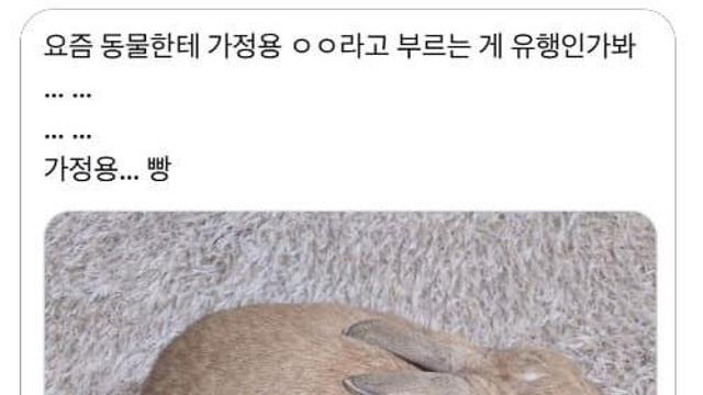 요즘 유행한다는 유행어