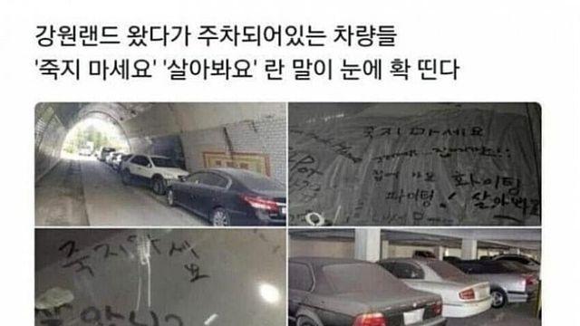 강원랜드 앞 전당포 알바생 썰