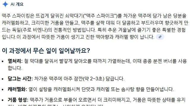 600도로 달군 쇠막대를 넣어 마시는 독일식 맥주..mp4,,