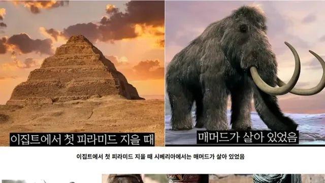 뇌정지 오는 동서양 역사 타임라인