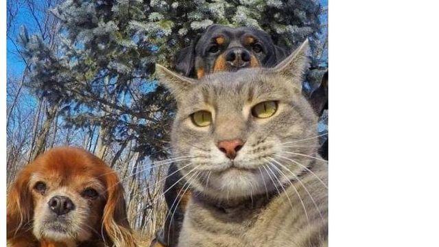 아저씨들의 셀카 특징.jpg