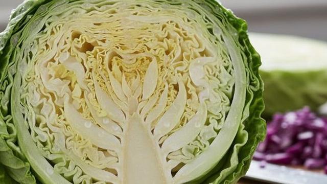 쓰다 남은 양배추는 이렇게 보관하세요...돈이 절로 굳습니다