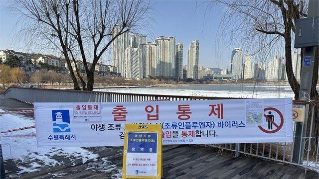 수원 원천호수서 고병원성 AI 검출…산책로 일부 출입 통제