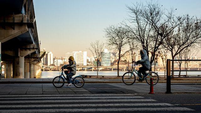 겨울엔 ‘제철 한 끼’가 보약이다