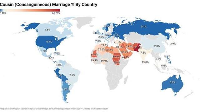 사촌간 결혼이 대다수인 국가