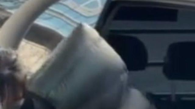 검찰 '지인 마약 주사' 혐의 남양유업 외손녀 황하나 구속기소