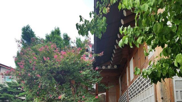 외국인의 '한국 호감도' 역대 최고...한국 가장 좋아하는 나라는?