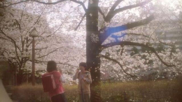 일본영화 올해도 세다…작년 애니에서 올해 애니 실사로
