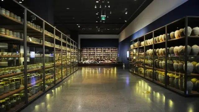 650년만에 바다에서 나왔는데 한국만 신난 상황