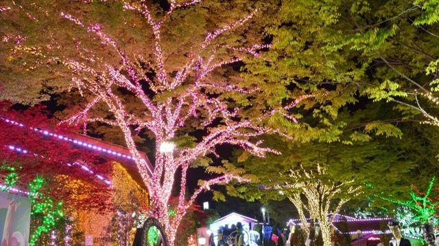 반전 여행 스폿 ‘청도’… 영남 알프스 아래 숨은 힙플 찾기