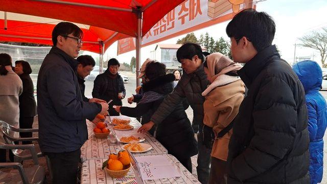 제주 만감류 블라인드 시식 했더니…