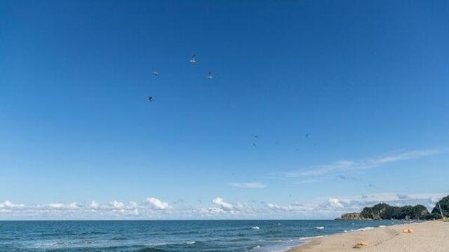 문화와 자연이 조화로운 삼척 가볼 만한 곳, 동해안의 보석
