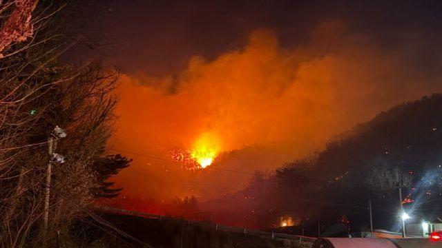 광양 산불, 국가소방동원령 발령…강풍에 진화 어려움