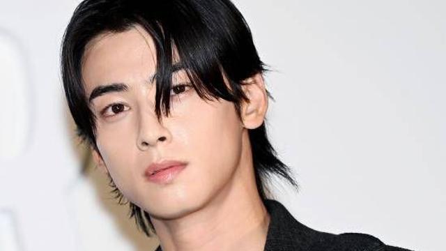 [공식] '200억 탈세 논란' 차은우, '군대 런' 의혹까지…소속사 