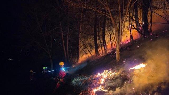 [속보] 곡성 오산면 선세리 산불 발생...