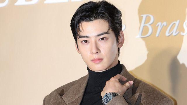 '200억 탈세 의혹' 제기되자…차은우, “공식 입장 정리 중”