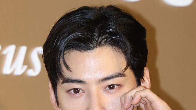 역대 연예인 중 ‘최고가’…차은우 ‘200억 탈세’ 의혹 [왓IS]