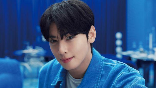 차은우, ‘엄마 회사’로 탈세 의혹… 200억대 추징[only 이데일리]